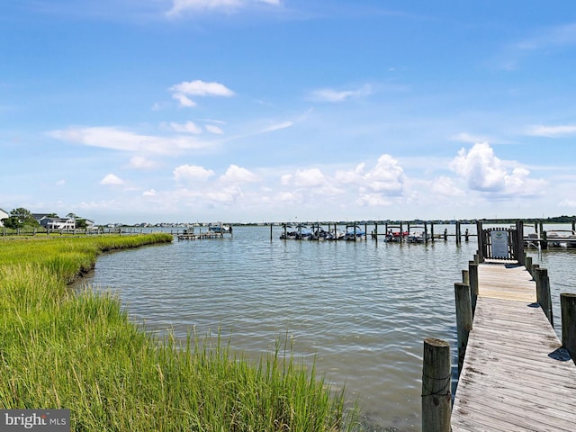 dock area featuring a water view