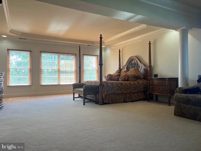 bedroom featuring light colored carpet and a closet