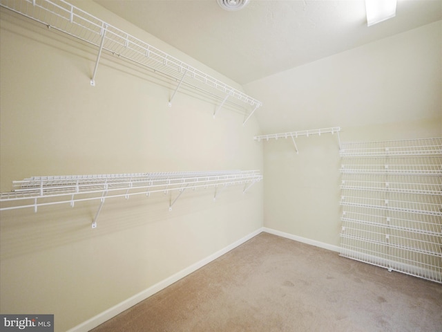 spacious closet with carpet flooring