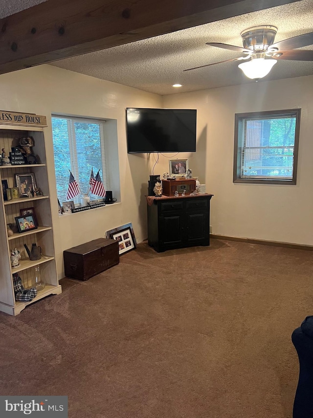 carpeted living room with ceiling fan, a textured ceiling, and plenty of natural light