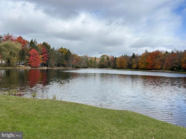 view of water feature