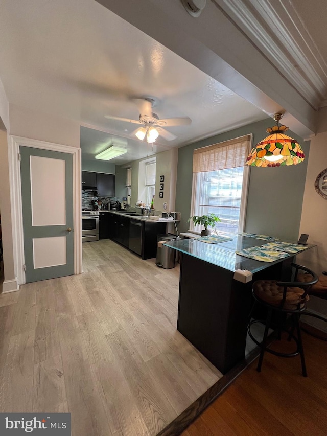 kitchen featuring light wood-style flooring, stainless steel range oven, dark cabinetry, a peninsula, and dishwasher