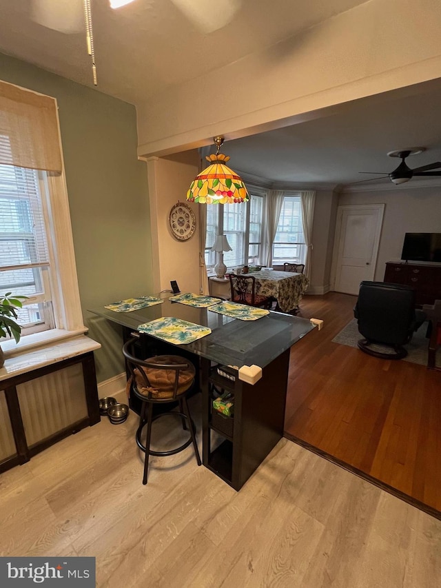 dining space with a ceiling fan, radiator, light wood-style floors, and baseboards