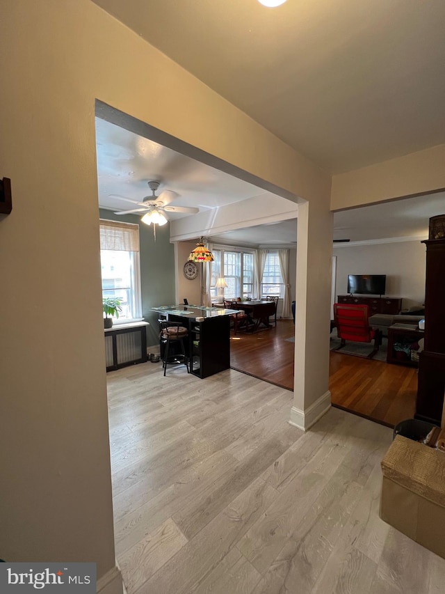 interior space with plenty of natural light, light hardwood / wood-style floors, and ceiling fan