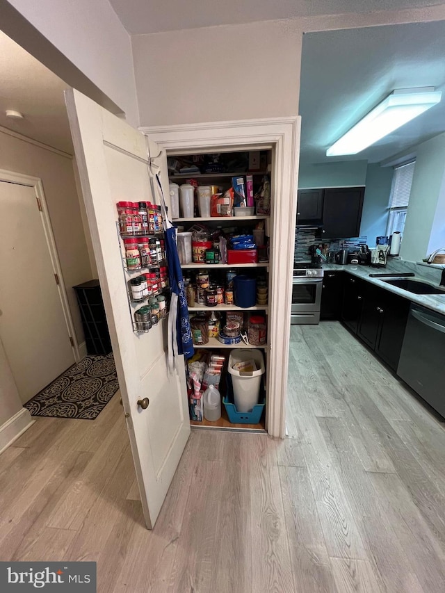 pantry with a sink