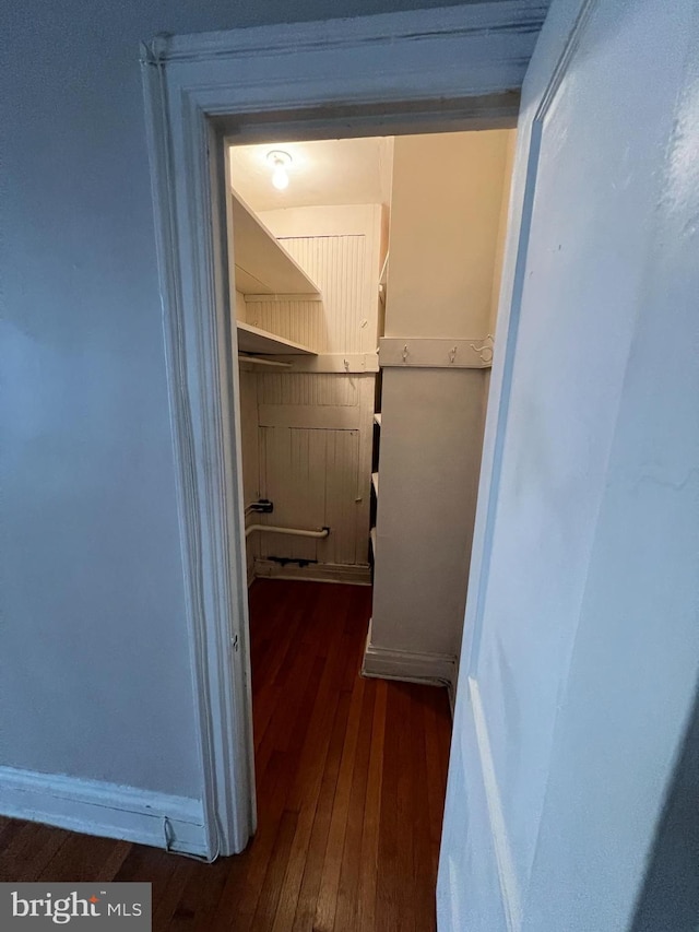 walk in closet with dark wood finished floors