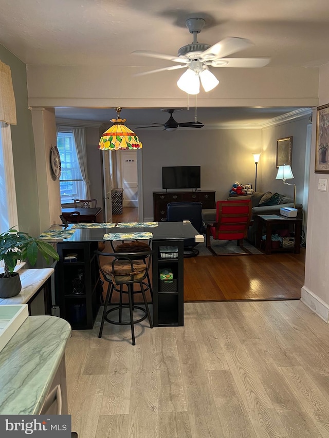 dining room with ceiling fan and light hardwood / wood-style flooring