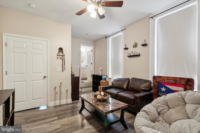 living room featuring ceiling fan and hardwood / wood-style flooring