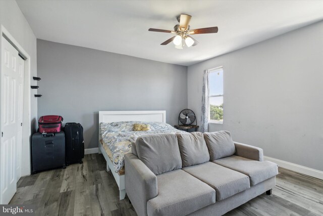 bedroom featuring ceiling fan, a closet, and wood-type flooring