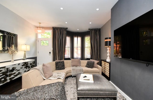 living room featuring dark hardwood / wood-style flooring