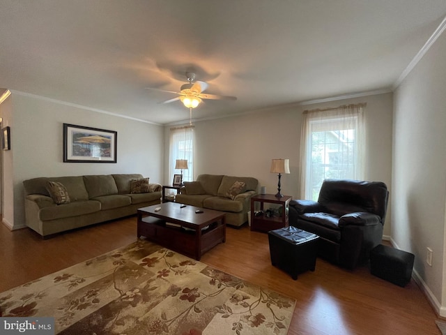 living room with ceiling fan, ornamental molding, and wood-type flooring