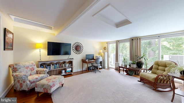 living room featuring hardwood / wood-style flooring