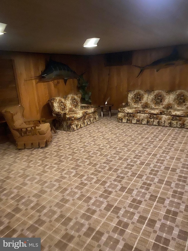 basement with wooden walls