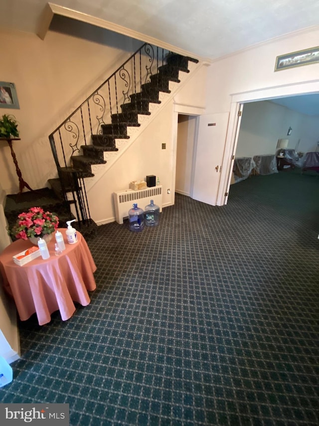 stairs with radiator and carpet