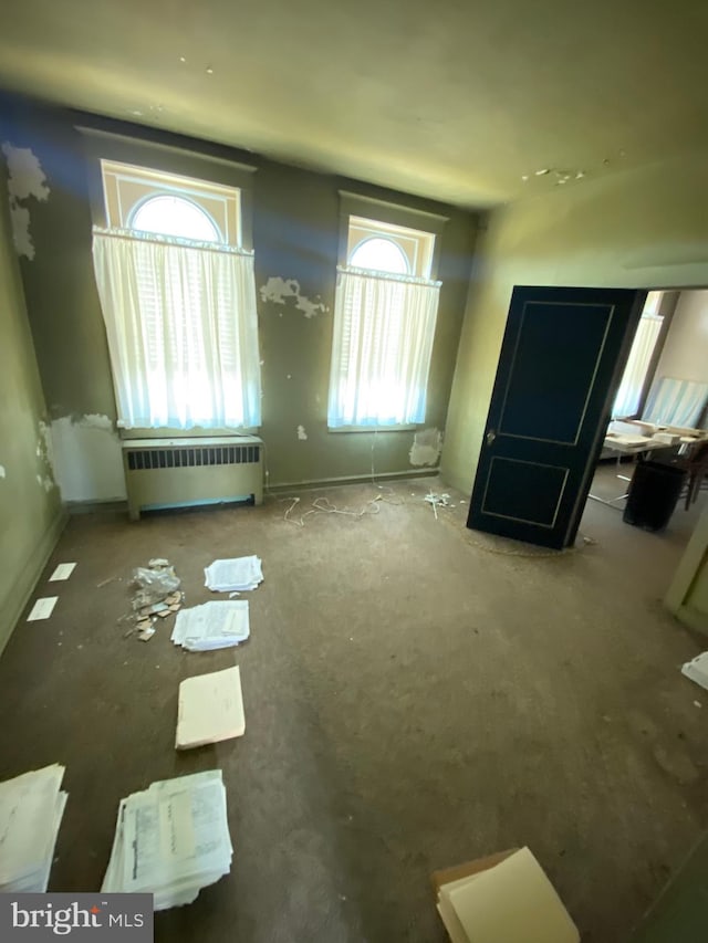 interior space with radiator and a wealth of natural light