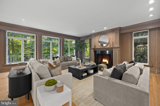 living room featuring light hardwood / wood-style flooring