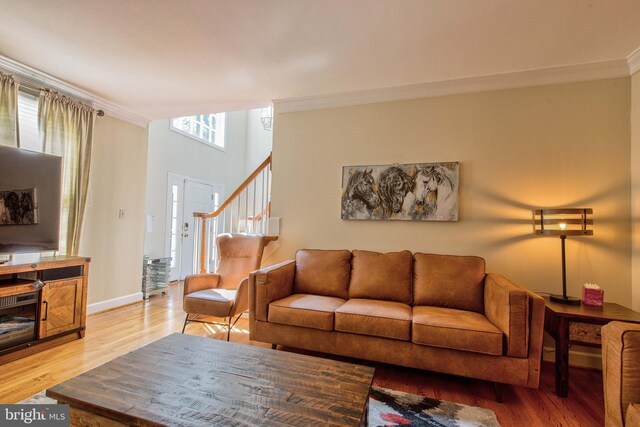 living room with hardwood / wood-style flooring, crown molding, and a high end fireplace