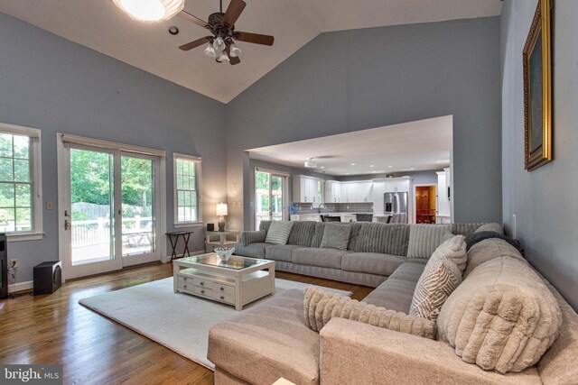 living room with hardwood / wood-style flooring, a stone fireplace, and high vaulted ceiling