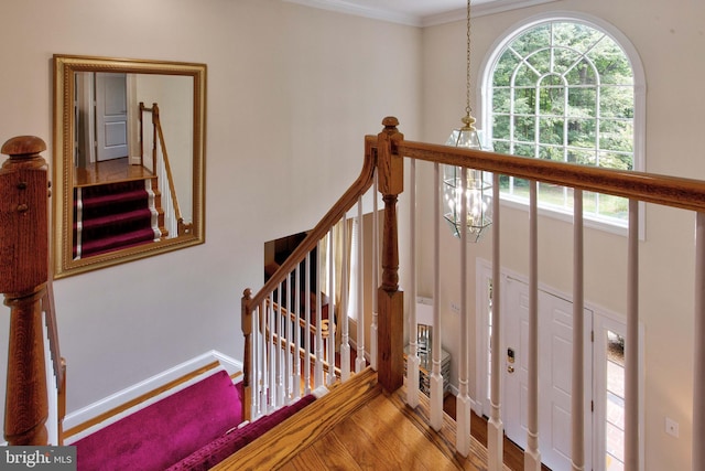 stairway with hardwood / wood-style floors, ornamental molding, and a chandelier