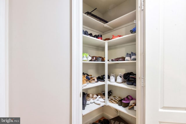 view of walk in closet