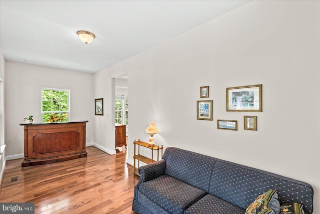 living room with wood-type flooring