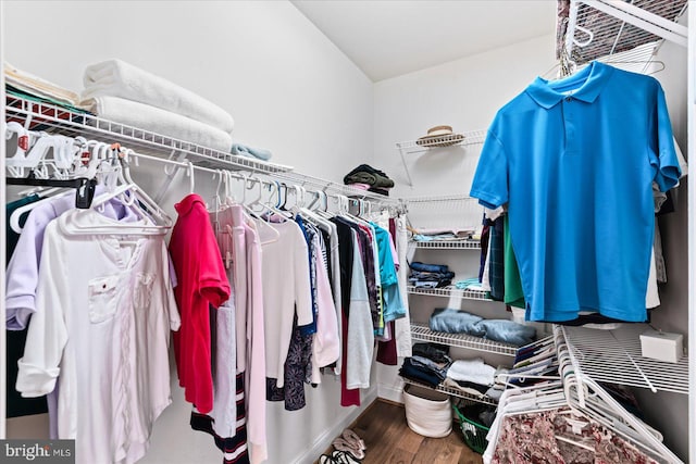 spacious closet featuring hardwood / wood-style floors