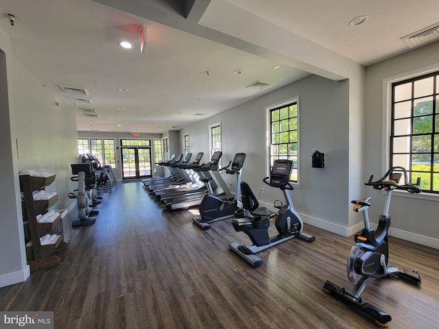 workout area with hardwood / wood-style floors and plenty of natural light