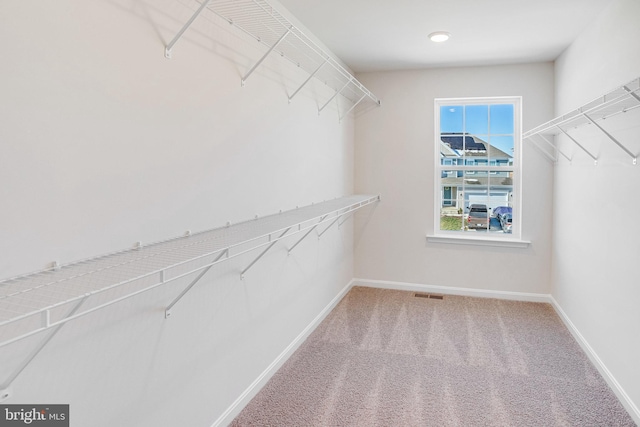 walk in closet featuring carpet