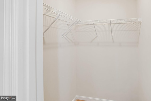 view of spacious closet