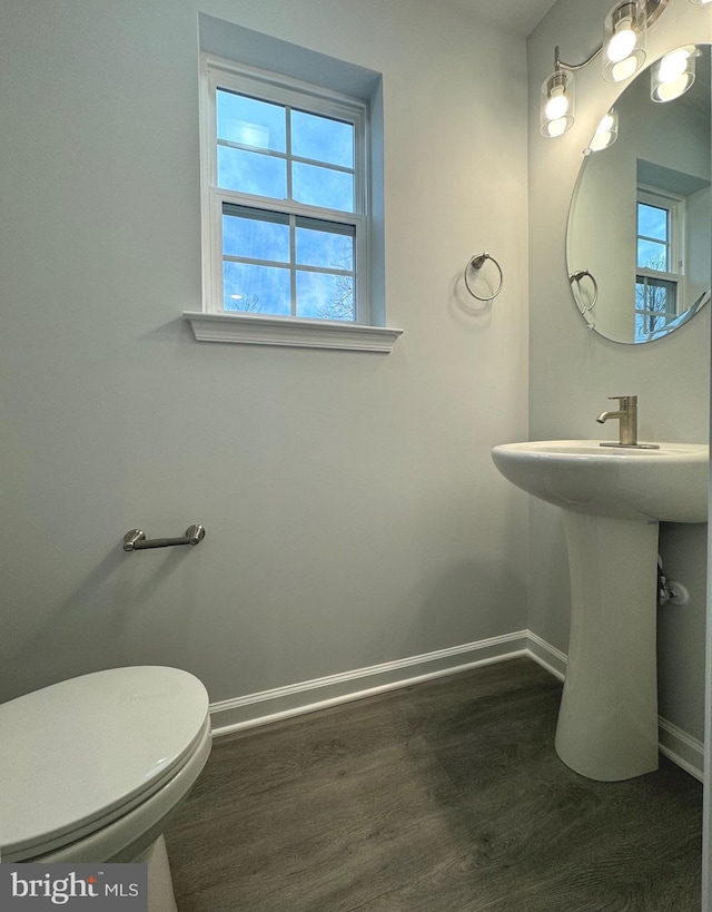 bathroom with hardwood / wood-style flooring and toilet