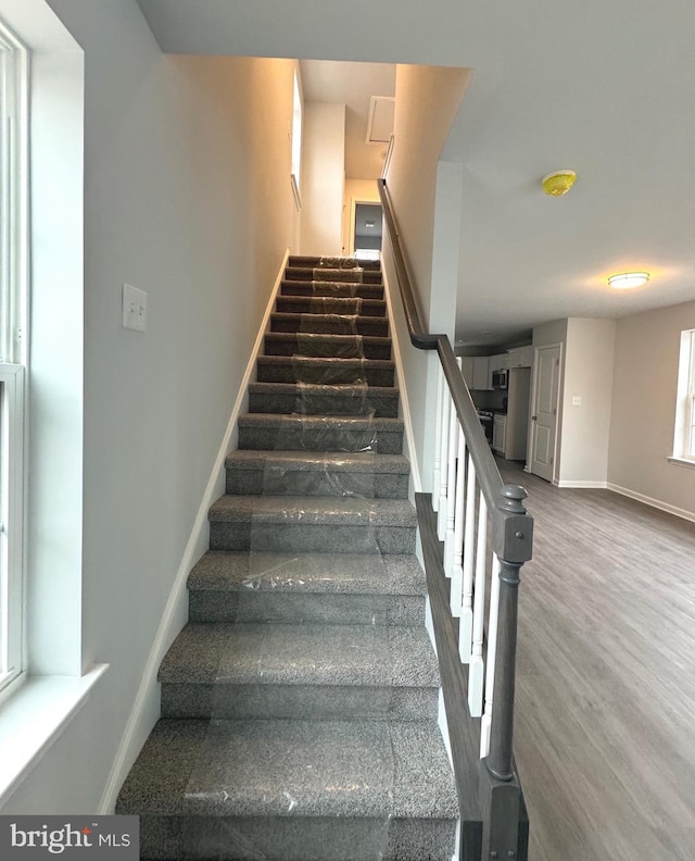 staircase with wood-type flooring