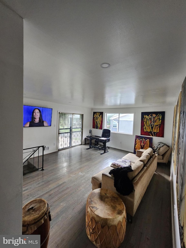 living room with wood-type flooring