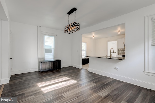 interior space with dark hardwood / wood-style flooring, sink, and radiator