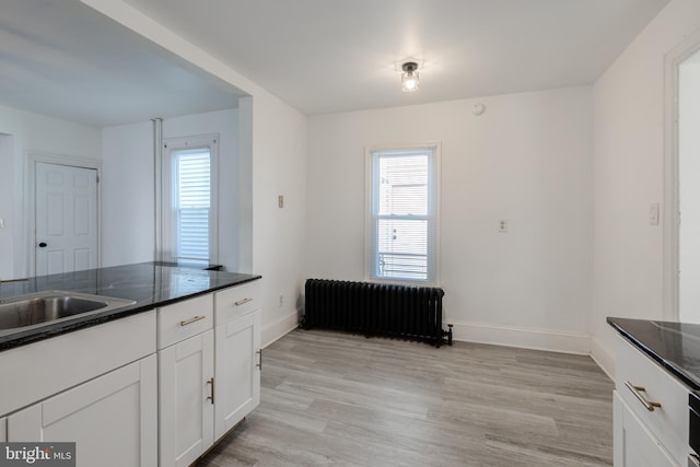 kitchen featuring plenty of natural light, light hardwood / wood-style floors, and radiator