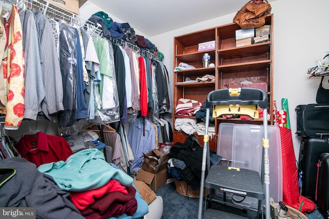 spacious closet featuring carpet floors