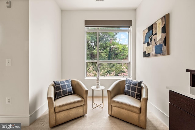 sitting room with a wealth of natural light