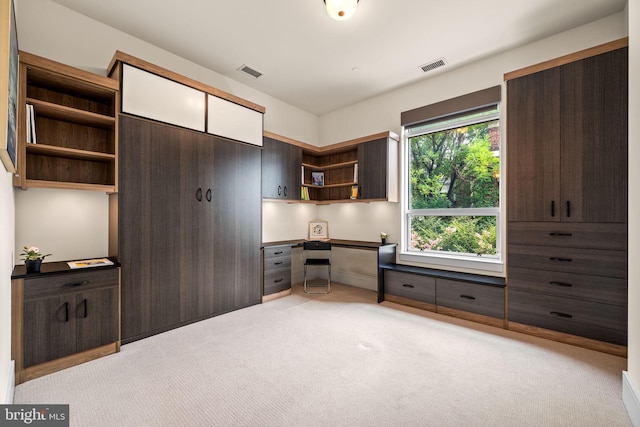 unfurnished office with built in desk and light colored carpet