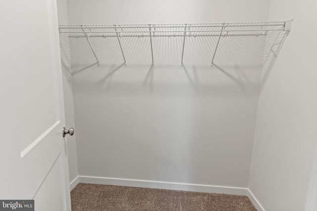 spacious closet with carpet flooring