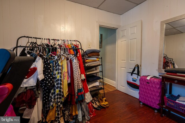 spacious closet featuring a paneled ceiling and wood-type flooring