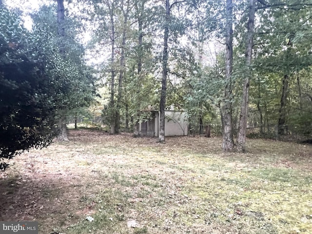 view of yard with a shed