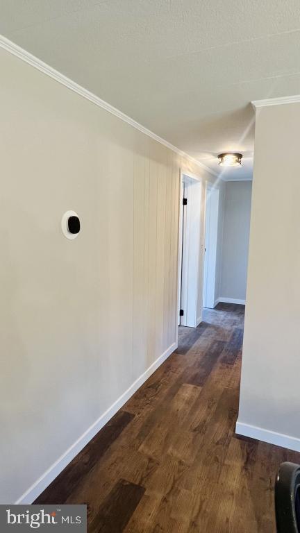 hallway with dark hardwood / wood-style floors and ornamental molding