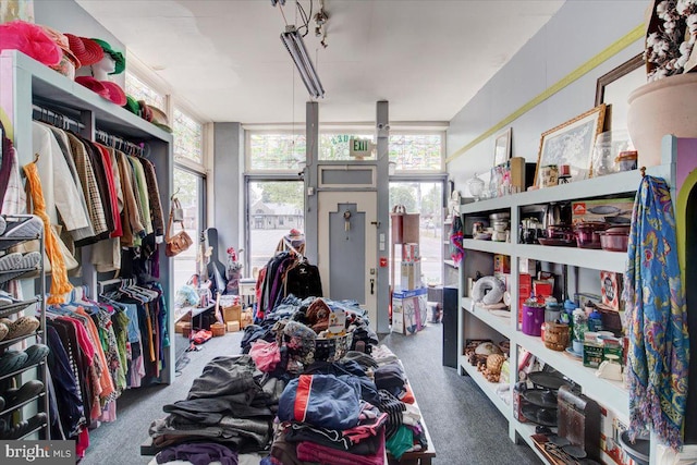 walk in closet with carpet floors