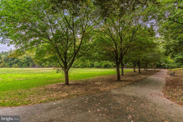 view of community with a yard