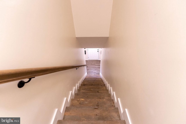 stairway with wood-type flooring