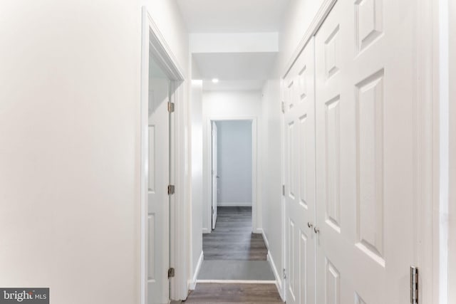 hallway featuring dark wood-type flooring