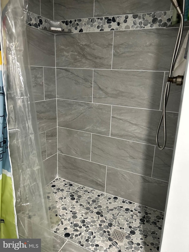 bathroom featuring a shower with shower curtain