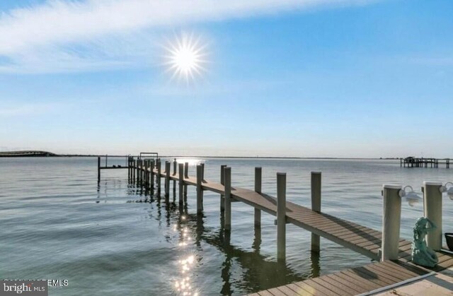 dock area with a water view