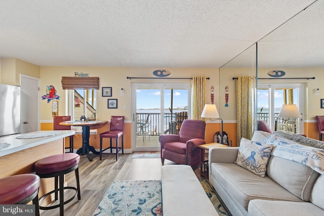 living room featuring a textured ceiling, light hardwood / wood-style floors, and plenty of natural light