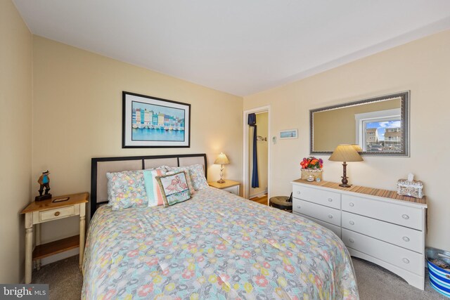 500 32nd St Unit A, Ocean City, MD 21842 - view of carpeted bedroom