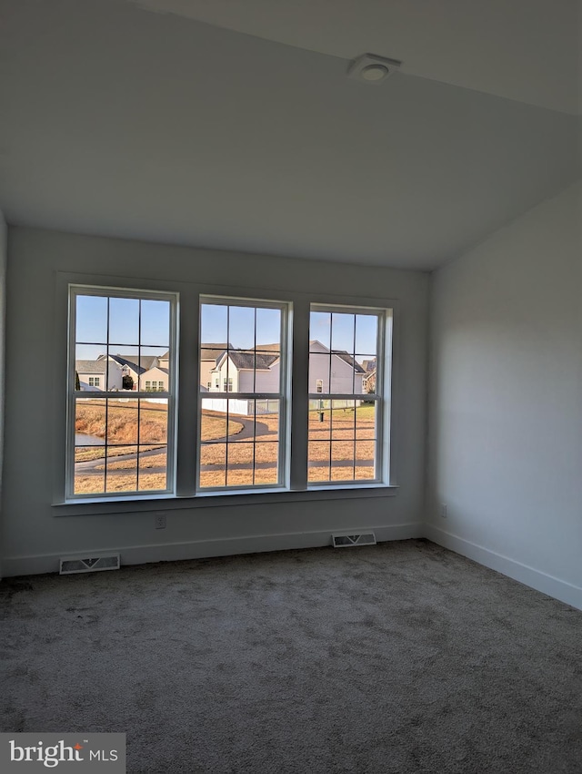 empty room with carpet and plenty of natural light